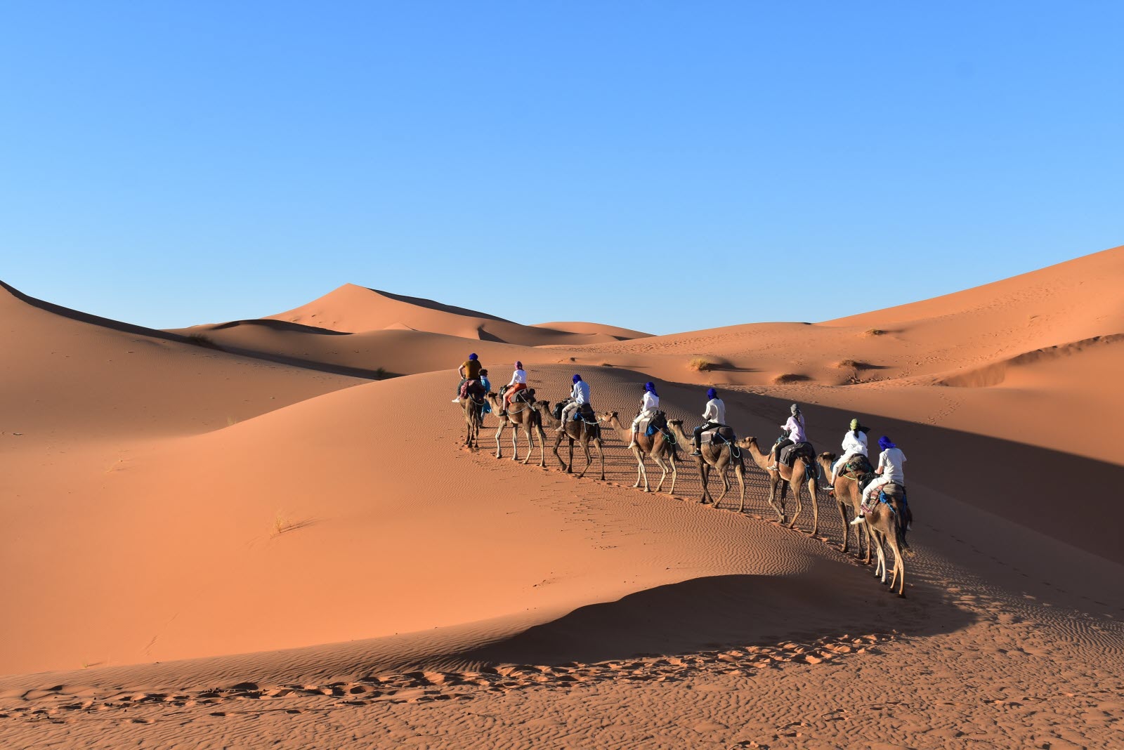Sahara dunes